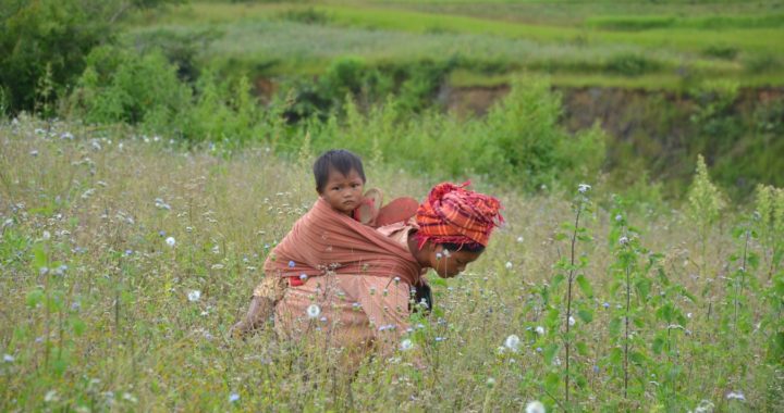 How Randomised Evaluations Can Galvanise Policymaking In Myanmar