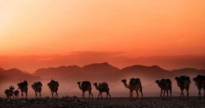 The Path to The New Silk Road