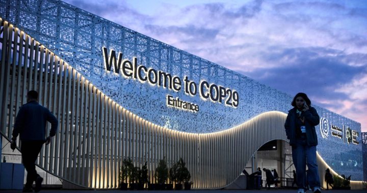 COP29 deal: Developed VS Developing
